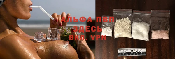 apvp Гусь-Хрустальный