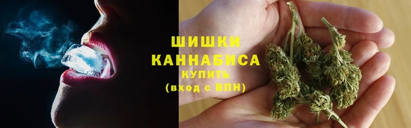 apvp Гусь-Хрустальный